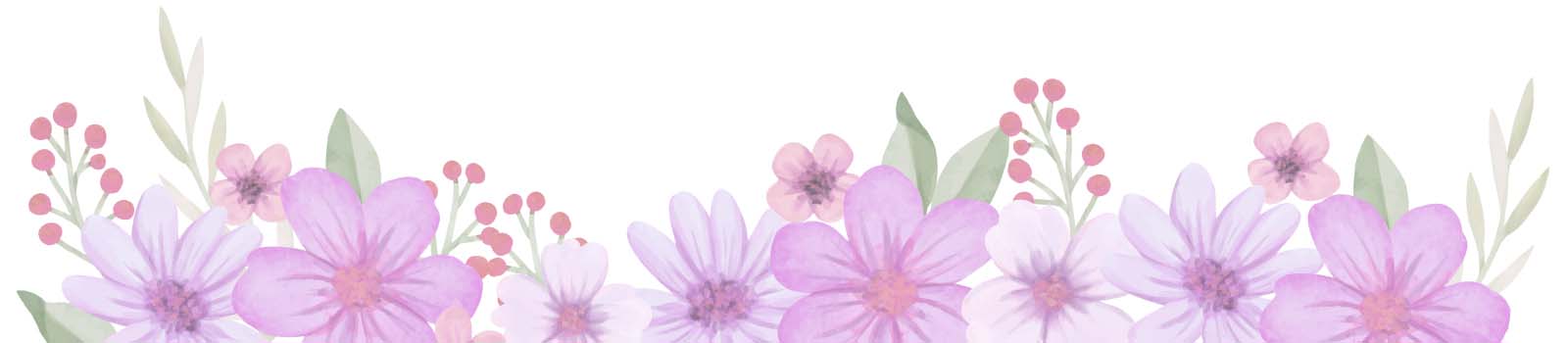 colibri banner quienes somos